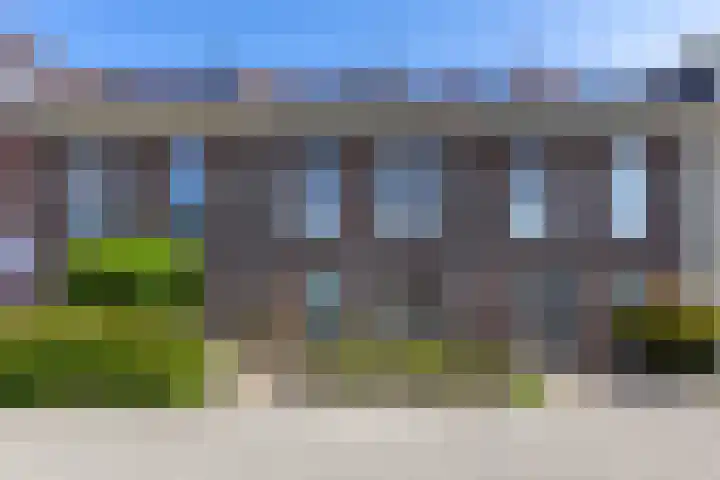 Madelief 6 Bodegraven foto 2