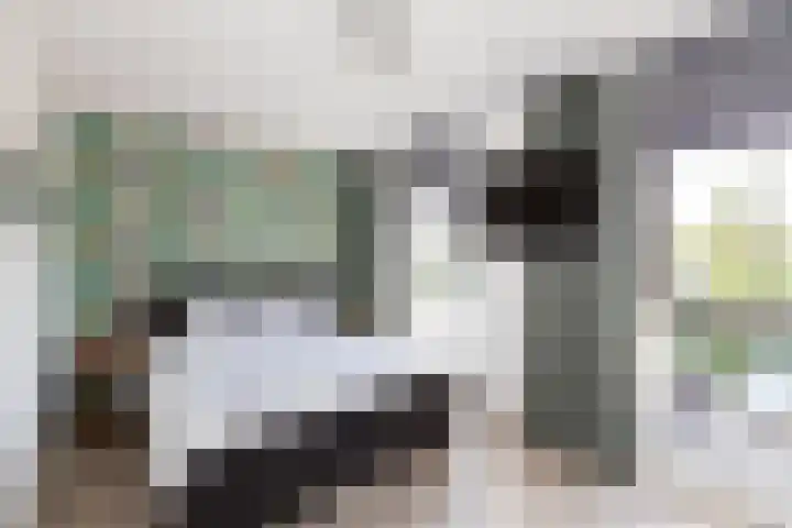 Madelief 6 Bodegraven thumbnail 22