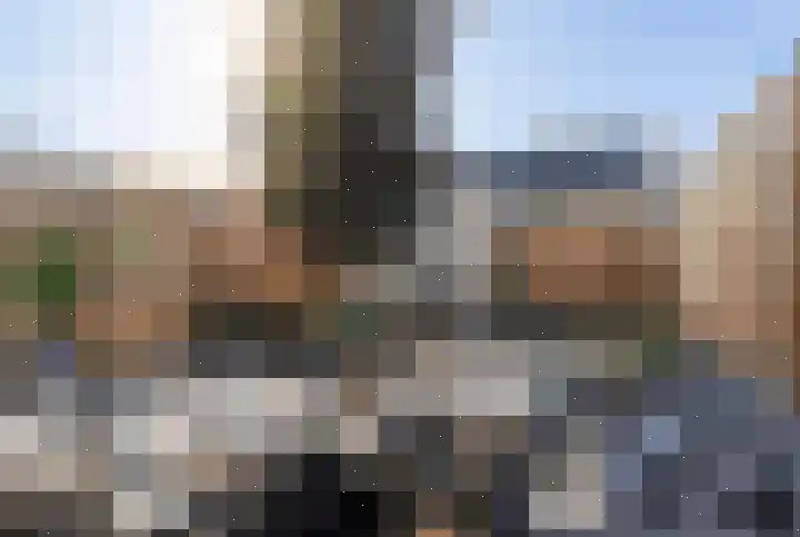 Madelief 6 Bodegraven thumbnail 29