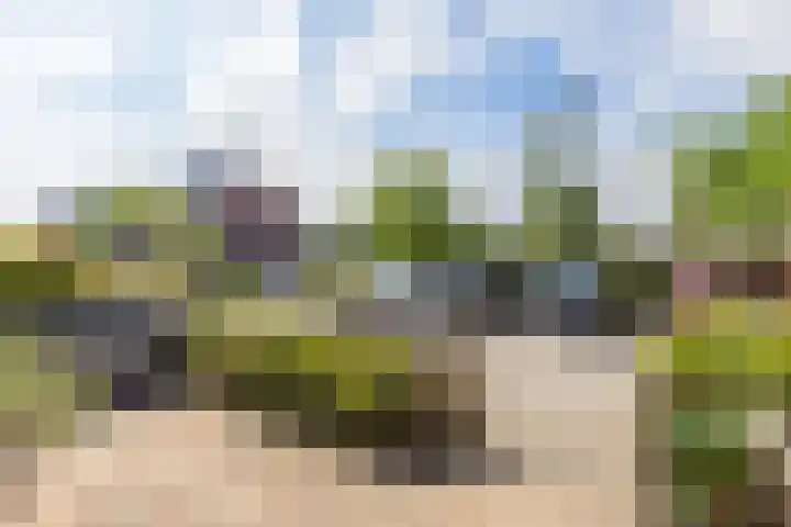 Madelief 6 Bodegraven foto 3