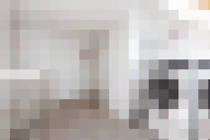 Madelief 6 Bodegraven thumbnail 32