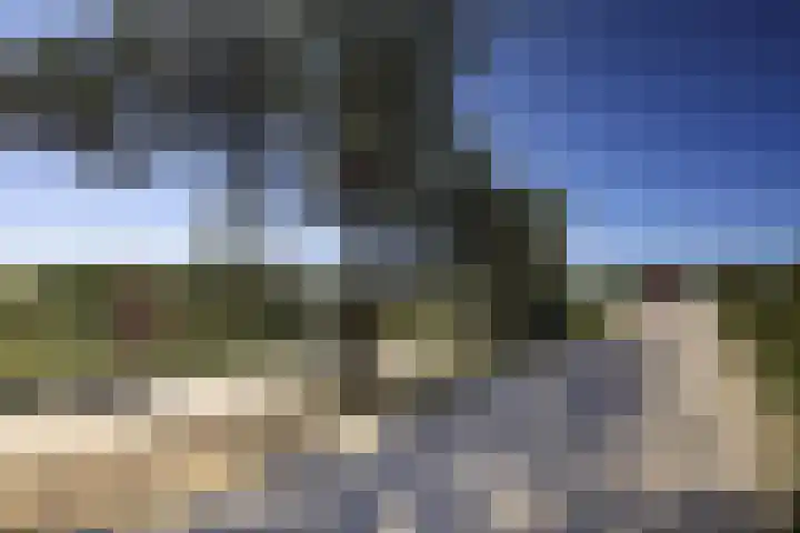 Madelief 6 Bodegraven thumbnail 33