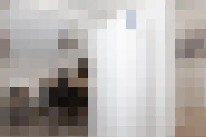 Madelief 6 Bodegraven thumbnail 33