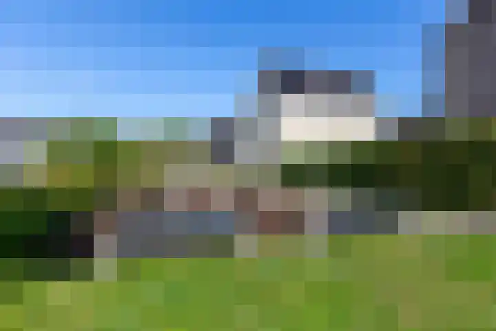 Madelief 6 Bodegraven thumbnail 36