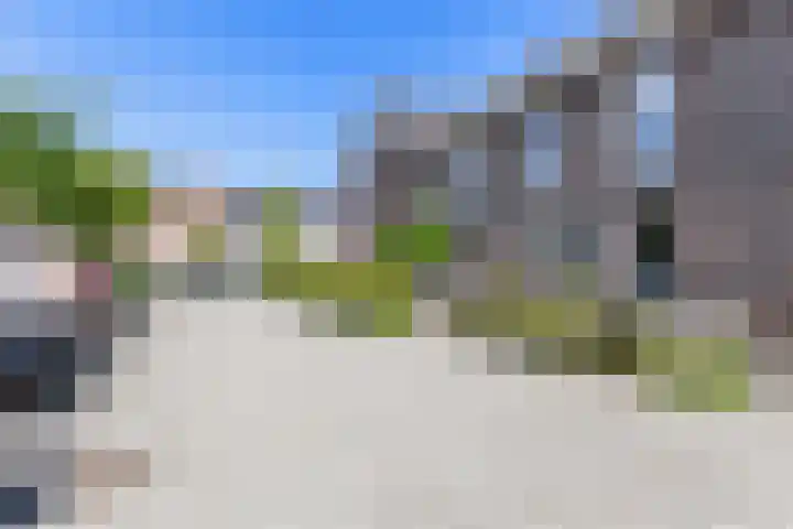 Madelief 6 Bodegraven thumbnail 37