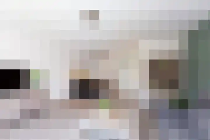 Madelief 6 Bodegraven thumbnail 9