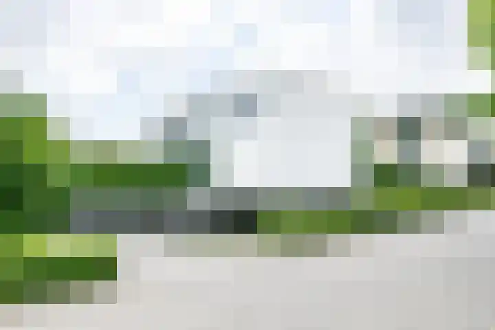 Madelief 6 Heerlen