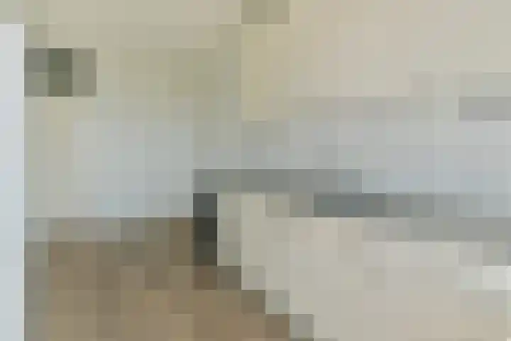 Madelief 83 Uithoorn thumbnail 13