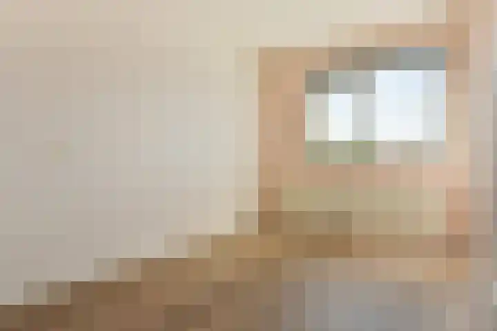 Madelief 83 Uithoorn thumbnail 19