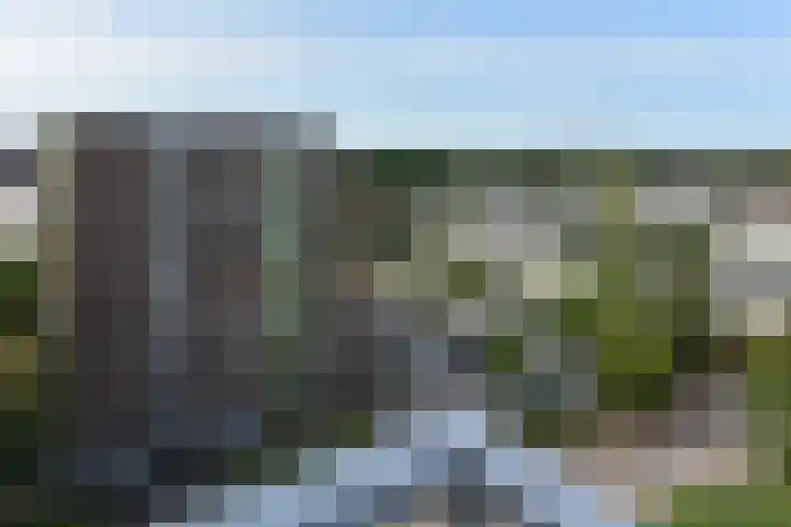 Madelief 83 Uithoorn thumbnail 21