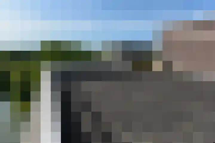 Madelief 83 Uithoorn thumbnail 23