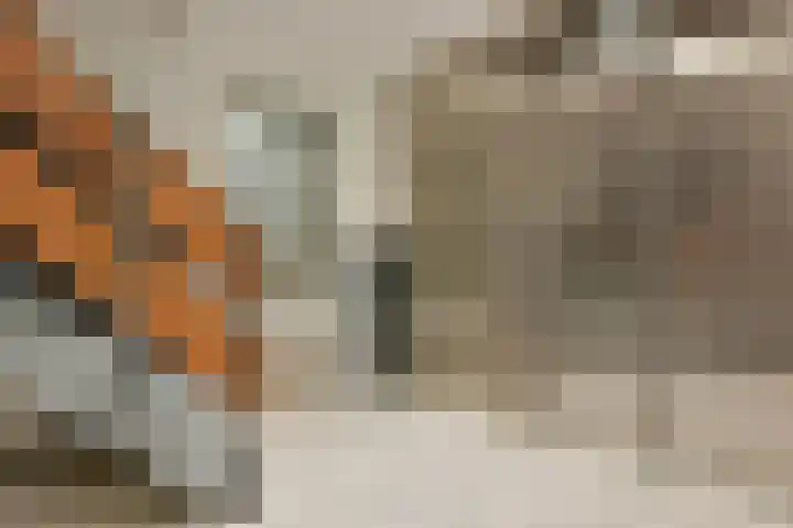 Madelief 83 Uithoorn thumbnail 5