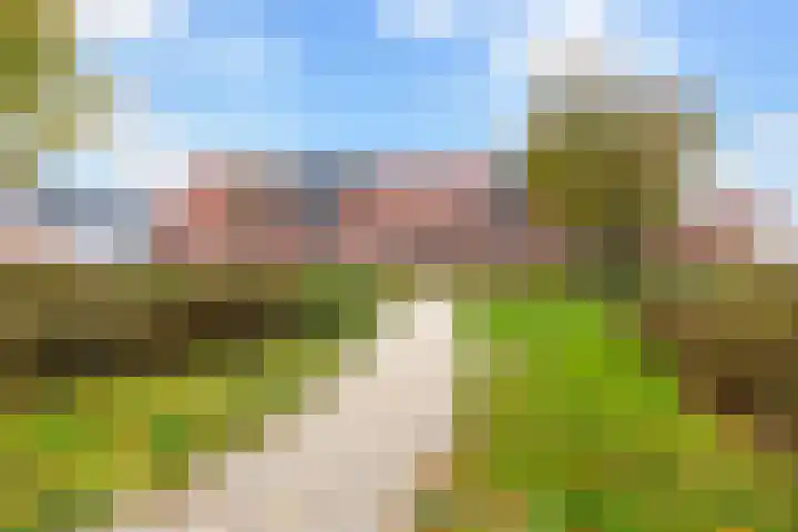 Madelief 9 Pijnacker