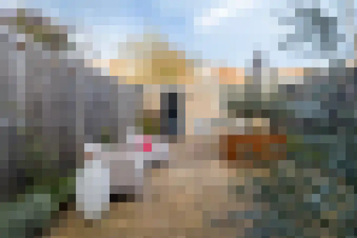 Madeliefstraat 33 Eindhoven thumbnail 21