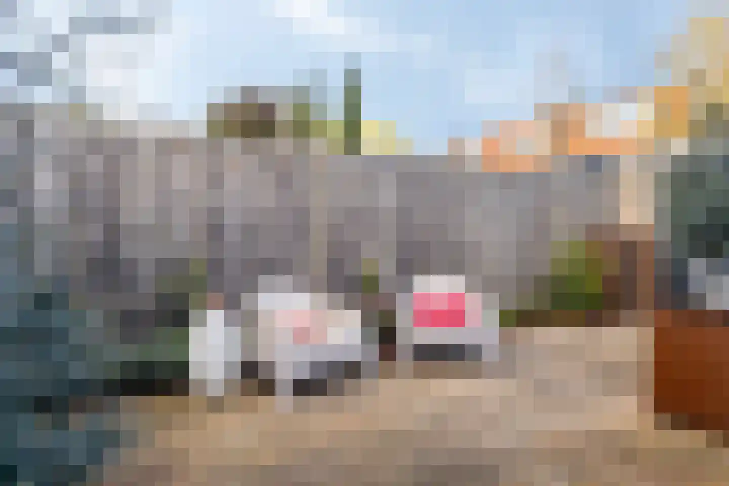 Madeliefstraat 33 Eindhoven thumbnail 22