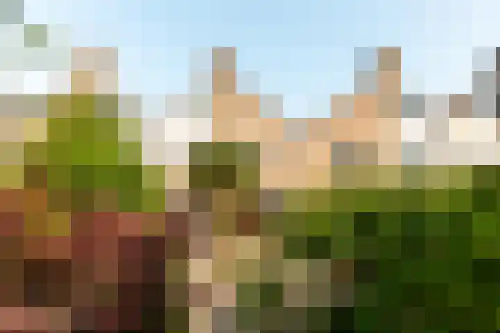 Madernastraat 5 Almere thumbnail 27