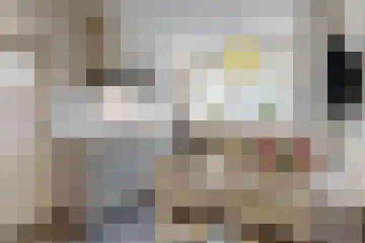 Madeweg 5 Castricum thumbnail 15