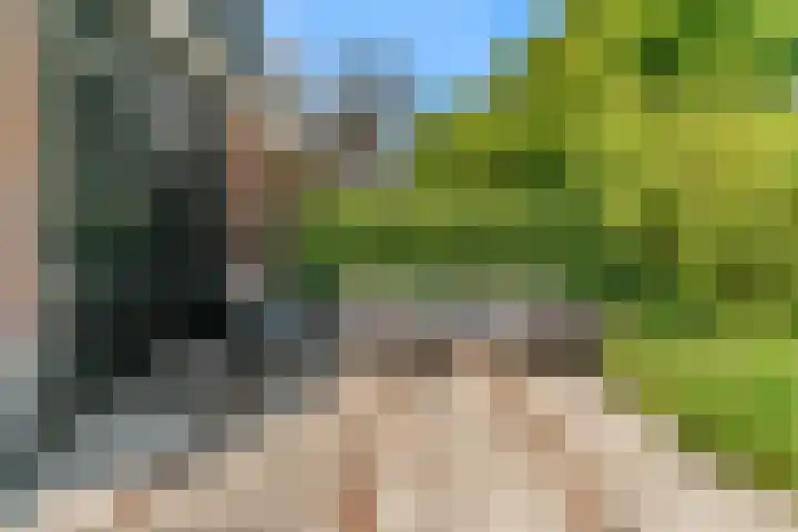 Madeweg 5 Castricum thumbnail 48