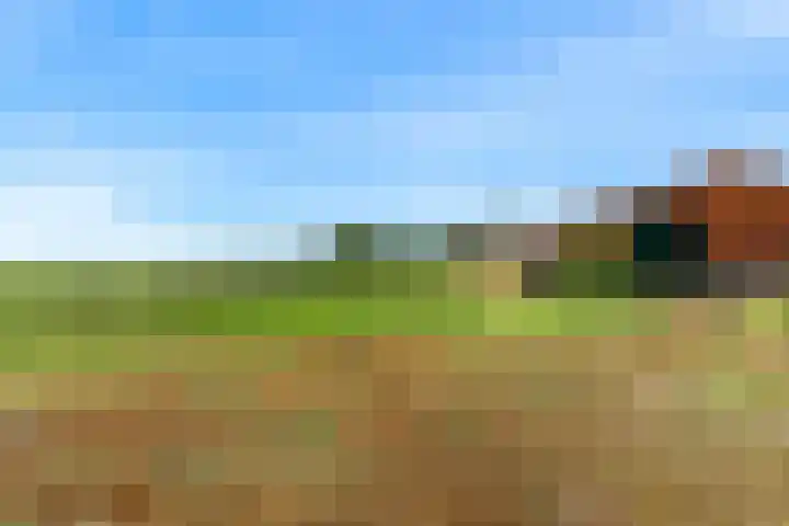 Madeweg 5 Castricum thumbnail 54