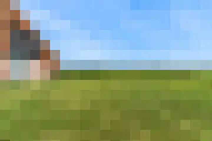 Madeweg 5 Castricum thumbnail 63