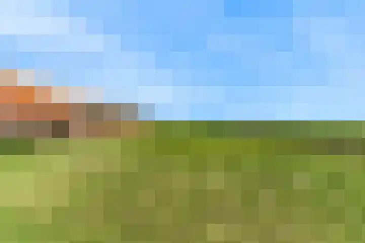 Madeweg 5 Castricum thumbnail 64