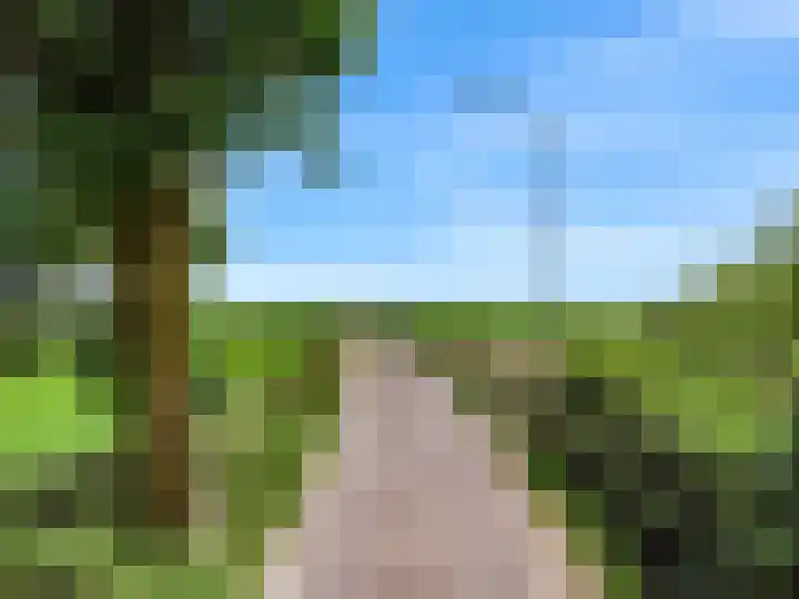 Madeweg 5 Castricum thumbnail 71