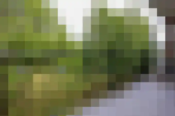 Madoeralaan 92 Ede thumbnail 19