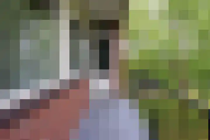Madoeralaan 92 Ede thumbnail 20