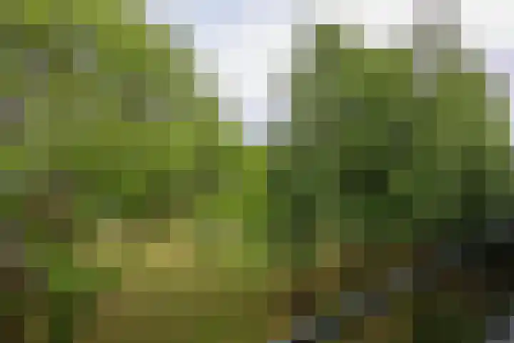Madoeralaan 92 Ede thumbnail 22
