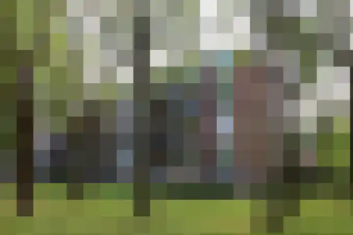 Madoeralaan 92 Ede thumbnail 24