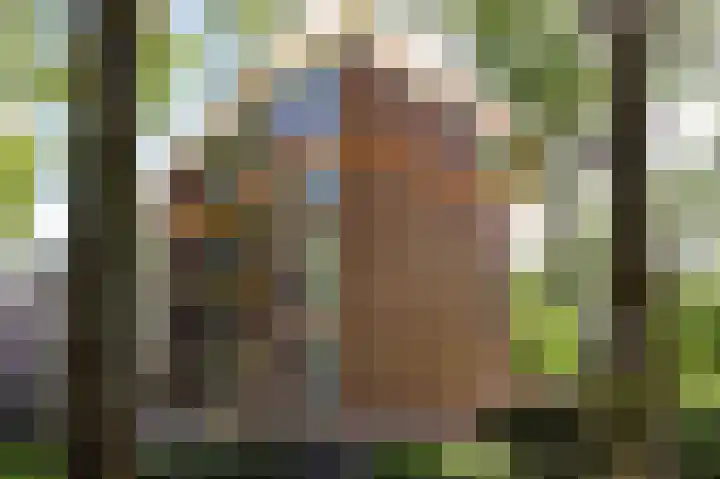 Madoeralaan 92 Ede thumbnail 31