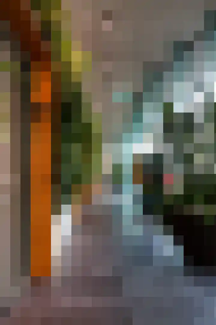 Madridstraat 272 Utrecht thumbnail 26