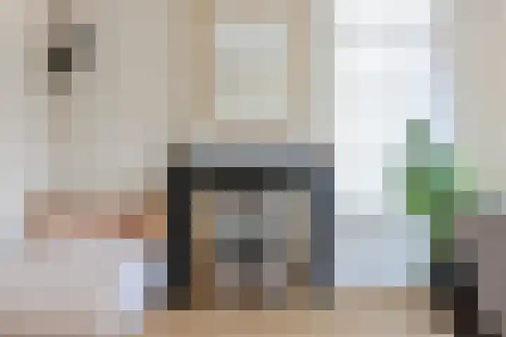 Maerelaan 3 Heemskerk thumbnail 16