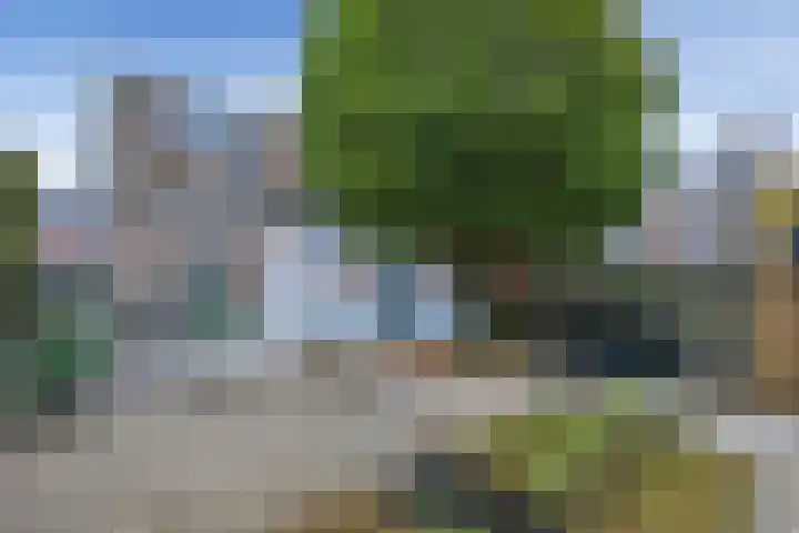 Maerelaan 3 Heemskerk thumbnail 37