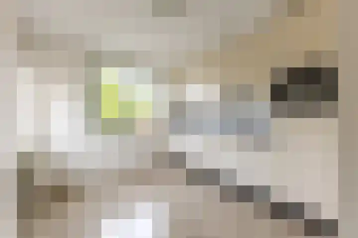 Maerelaan 9 Heemskerk thumbnail 7