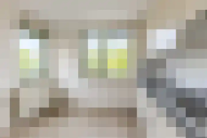 Maerelaan 9 Heemskerk thumbnail 8