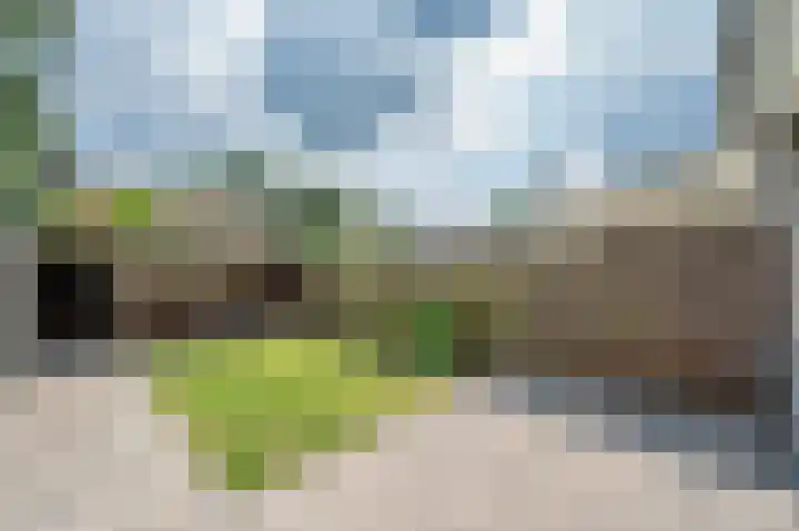 Maesenburg 22 Weert thumbnail 35