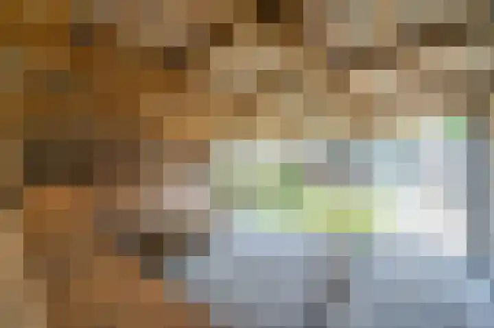 Maesenburg 22 Weert thumbnail 37