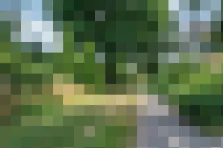 Maesenburg 22 Weert thumbnail 39