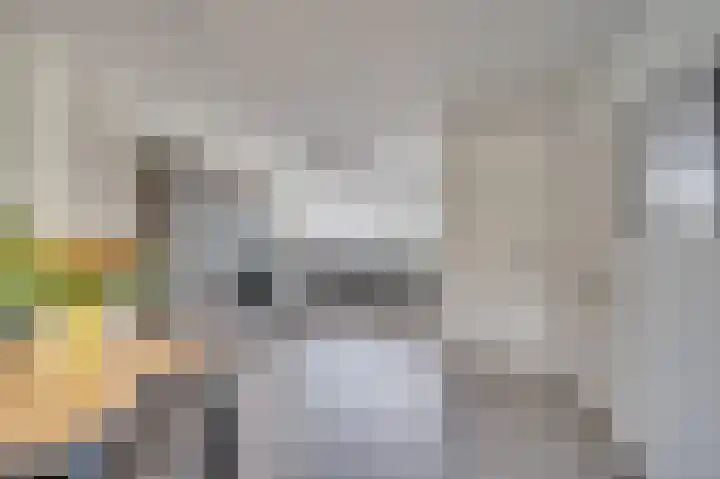 Maesenburg 22 Weert thumbnail 5