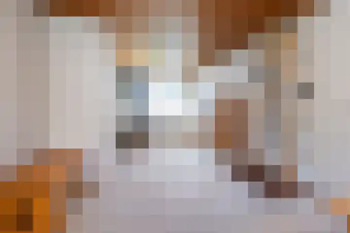 Maeskamp 24 Hattem thumbnail 10