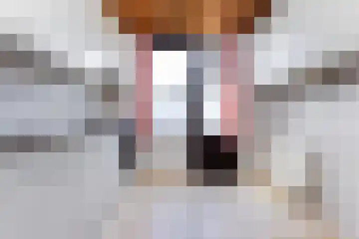 Maeskamp 24 Hattem thumbnail 12