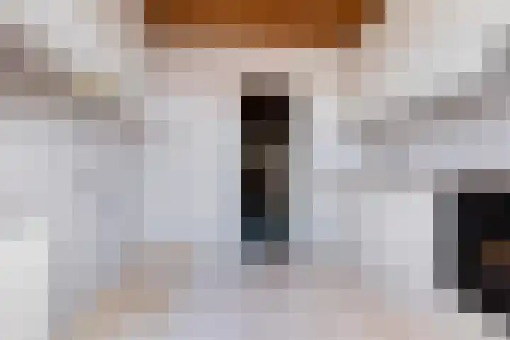 Maeskamp 24 Hattem thumbnail 13