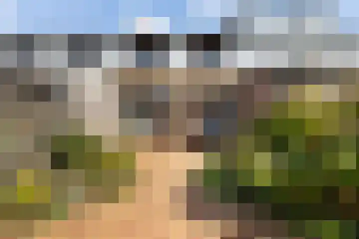 Maeskamp 24 Hattem thumbnail 18