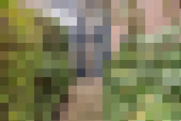 Maeterlinckdreef 4 Maassluis thumbnail 40