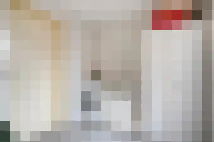 Magelerweg 46 Den Ham thumbnail 17