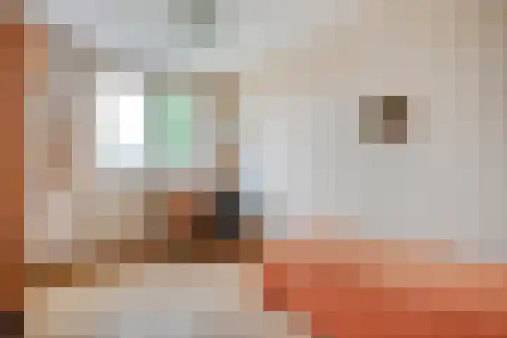 Magelerweg 46 Den Ham thumbnail 25