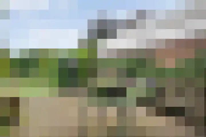 Magelerweg 46 Den Ham thumbnail 35