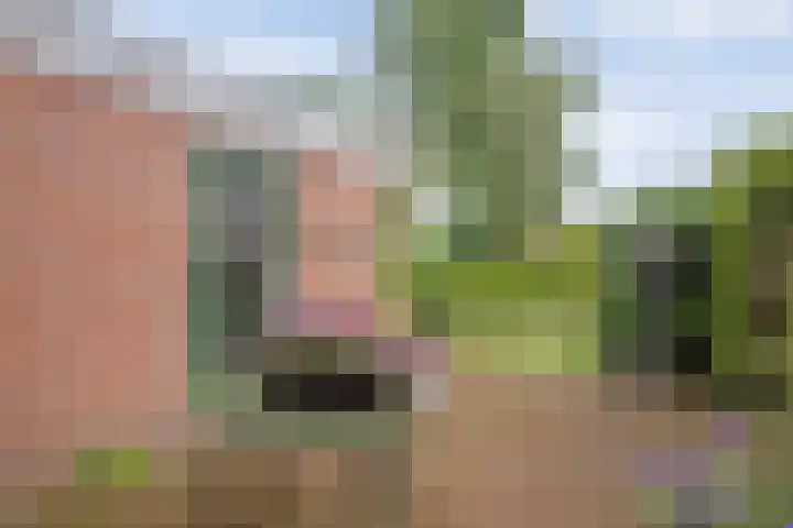 Magelerweg 46 Den Ham thumbnail 36