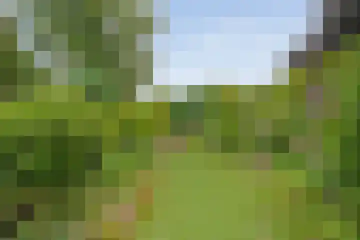 Magelerweg 46 Den Ham thumbnail 37